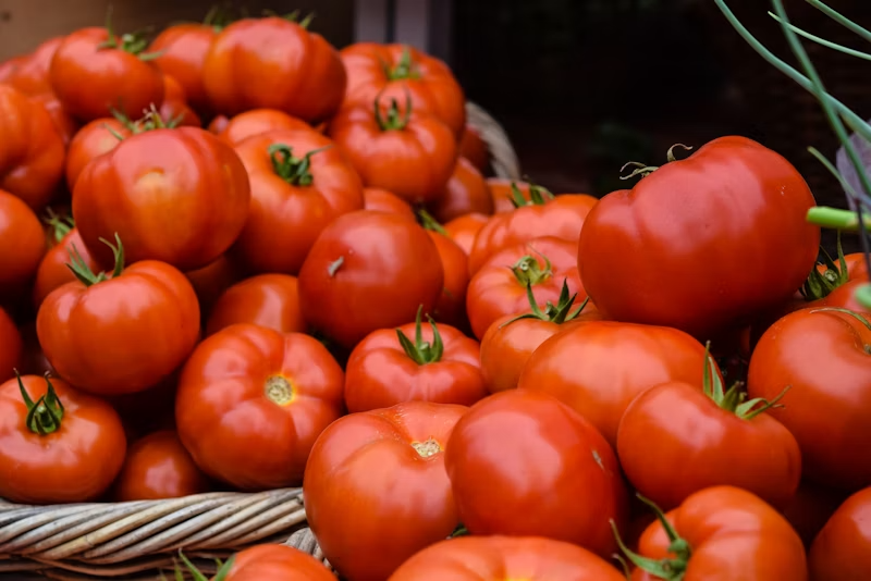 Tomates