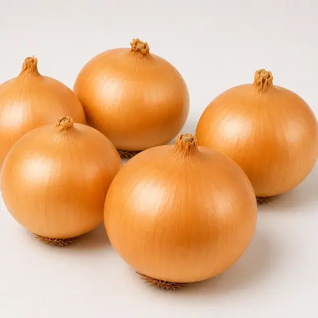Cebola Caixa 4